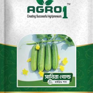 Hybrid Cucumber Sabira Gold - 300pcs